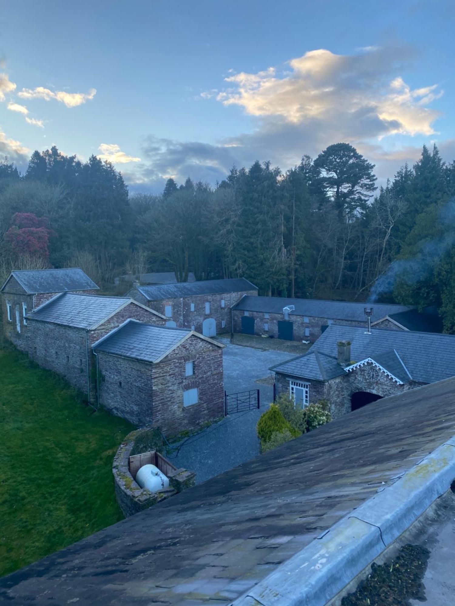 فيلا Dripsey Castle Estate كورك المظهر الخارجي الصورة